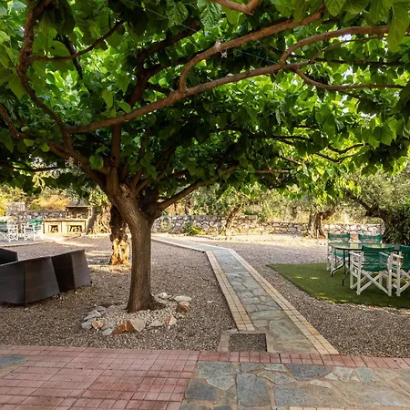 Daire Serene Nests - Spitiko Getaway *