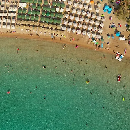 公寓 Serene Nests - Spitiko Getaway *